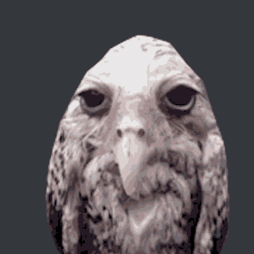 Owl Prowl