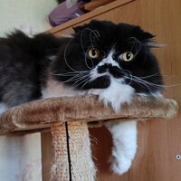 Анастасия Марковна