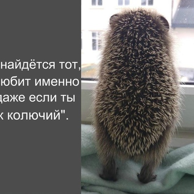Ирусик Бобкова