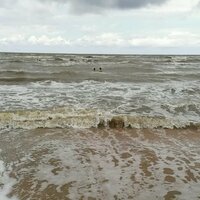 Виктория Хлопцева