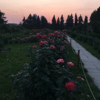 Дарья Чернобурская