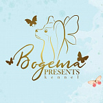 Bogema Presents