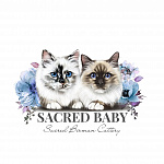 Sacred baby