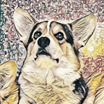 Клан Айронхорн
