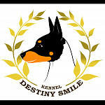 Destiny Smile