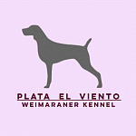 PLATA EL VIENTO
