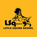 Little Squire