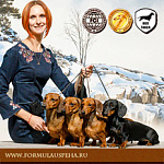 Формула успеха