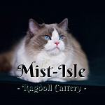 Mist-Isle