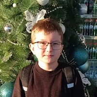Александр Рогожин