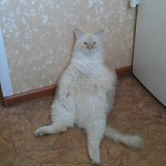 павел бородин