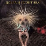 Зоя Проскуренко