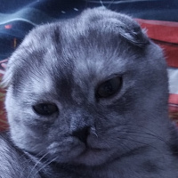 Дмитрий Бондаренко