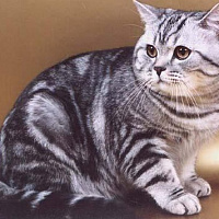 Людмила Туровская