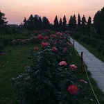 Дарья Чернобурская
