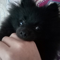 Маша Фомина