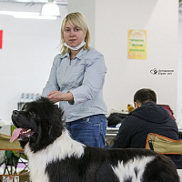 Инга Титова