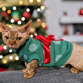 Минскин