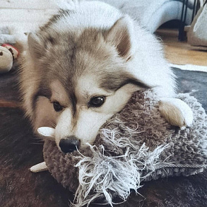Помски
