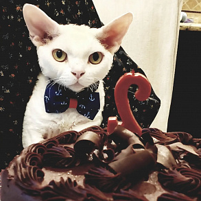 Минскин