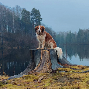 Коикерхондье