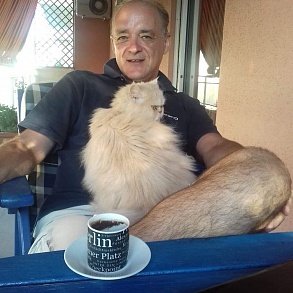 Персидская кошка