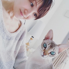 Сингапурская кошка