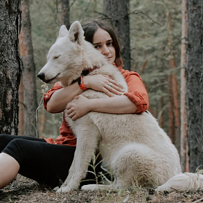 Якутская лайка