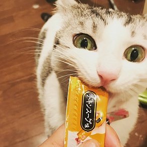 Скукум