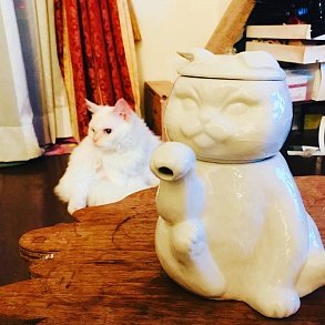Скукум