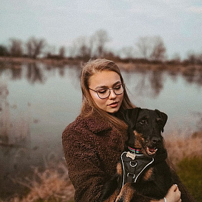 Немецкий ягдтерьер